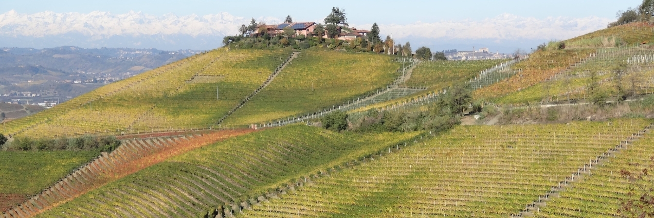 Barolo Marialunga